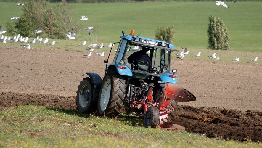 Un rapport remis au ministre de l'Agriculture, liste les "bonnes pratiques" pour basculer vers un modèle agricole compétitif et respectueux de l’environnement.