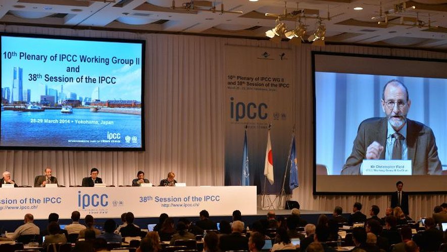 Le Groupe d'experts intergouvernemental sur l'évolution du climat (Giec) réuni le 25 mars 2014 à Yokohama