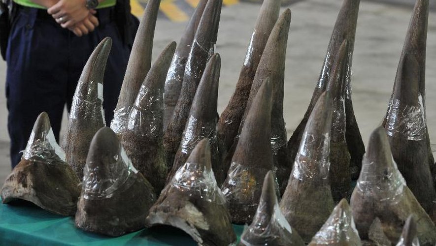 Prise de cornes de rhinocéros le 15 novembre 2011 par le service des douanes de Hong Kong