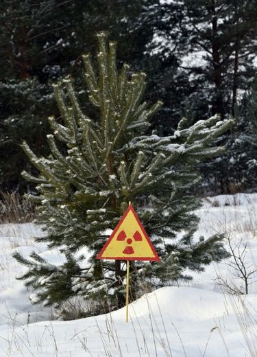 Un panneau de prévention contre les radiations, le long de la route, dans la zone d'exclusion de Tchernobyl en Ukraine, le 22 janvier 2016