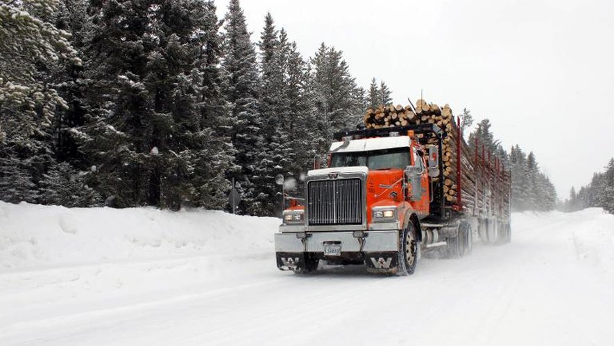 Malgré le désaccord des Indiens Cri, les compagnies forestières s'installent sur la dernière forêt boréale du Quebec dans la ballée de Broadback. Ici un camion chargé de bois photographié le 11 mars 2014 dans la région de Was