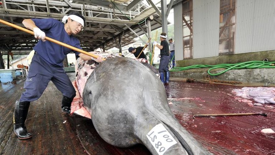 Des pêcheurs japonais découpent une baleine au port de Minami-Boso le 25 juin 2008
