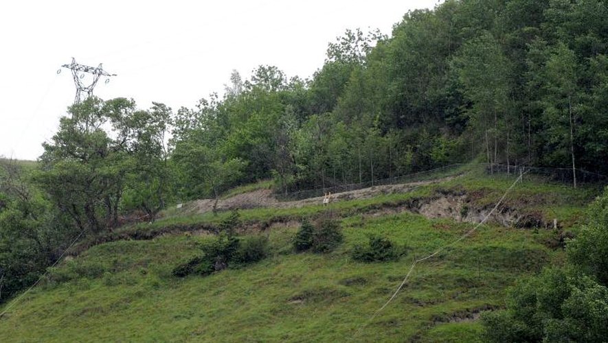 Vue du glissement de terrain à Mizoën, le 12 juin 2015, près du tunnel du Chambon et dont la progression, de l'ordre d'un centimètre par jour, a entraîné la fermeture préventive de la route Grenoble-Briançon depuis deux mois