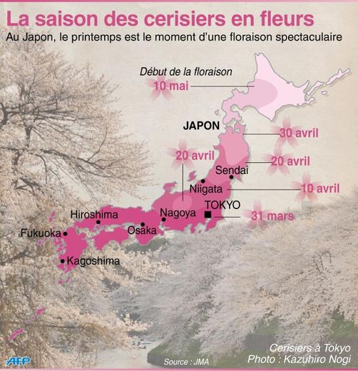 Graphique des dates de floraison des cerisiers dans plusieurs villes du Japon