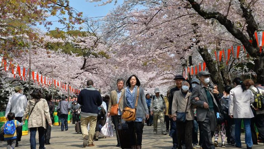 Des personnes marchent sous des cerisiers en fleurs à Tokyo, le 2 avril 2014