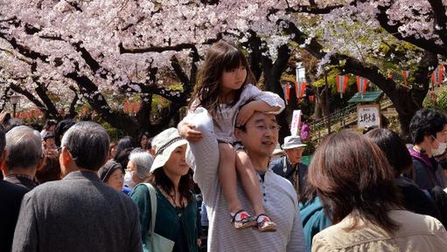 Des personnes sous des cerisiers en fleurs dans un parc de Tokyo, le 2 avril 2014