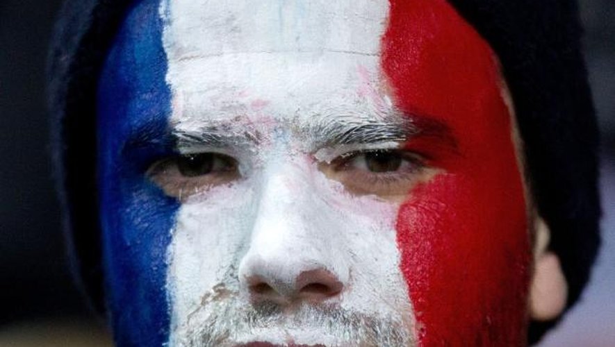 Un supporteur français assiste au match Nouvelle-Zélande - France le 22 juin 2013 à New Plymouth