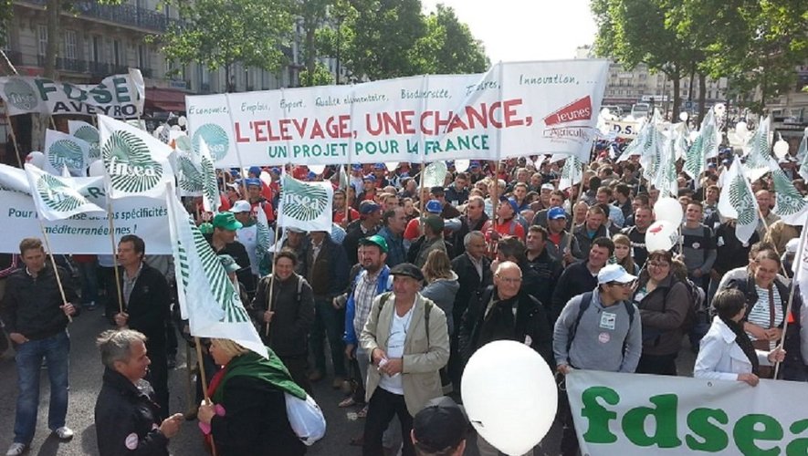 Vers 10heures à Montparnasse, les éleveurs aveyronnais ouvriront la marche pour ce défilé en direction de l'esplanade des Invalides.