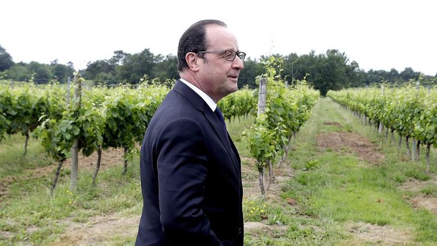 Le président français François Hollande visite le vignoble de Tutiac le 14 juin 2015 à Marcillac