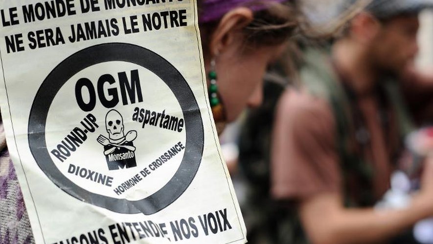 Des manifestants anti-Monsanto, le 23 mai 2015 à Toulouse