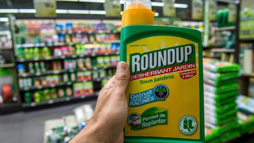 Un bidon de Roundup de Monsanto dans une jardinerie à Lille, le 15 juin 2015