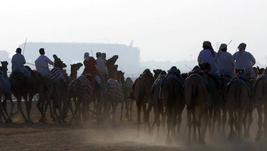 Course de chameaux aux Émirats arabes unis, le 2 octobre 2007