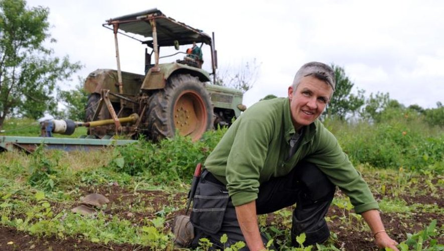 Un "wwoofer" allemand au travail dans une ferme de  Gourin, dans l'ouest de la France, le 21 juin 2013