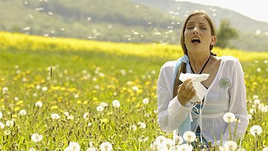Aveyron présente un risque élevé d'allergie au pollen de platane.