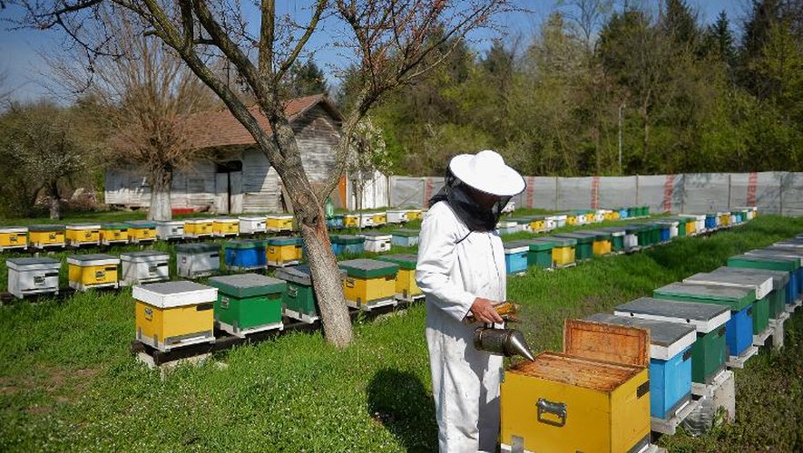 Un apiculteur près de Bucarest, le 4 avril 2013