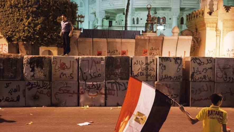 Un manifestant porte le drapeau égyptien devant le palais présidentiel, au Caire, le 29 juin 2013
