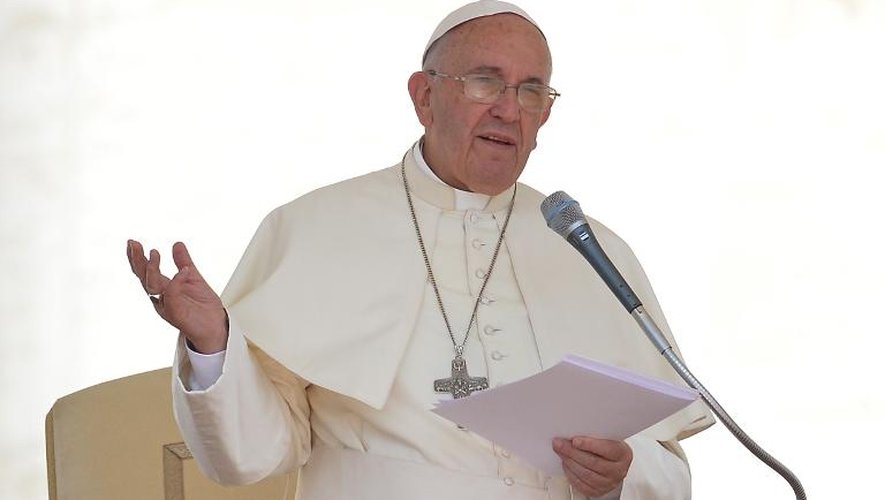 Le pape François au Vatican, le 17 juin 2015