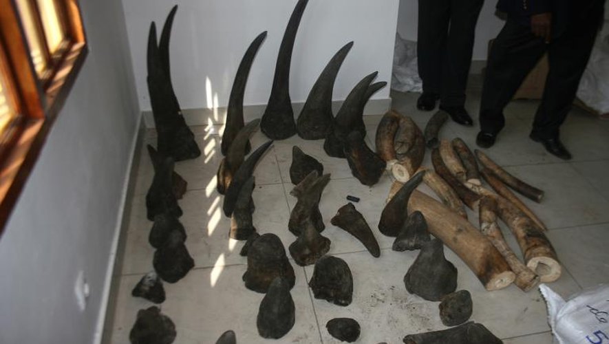 Saisie de cornes de rhinocéros et d'ivoire de la police locale de Maputo, au Mozambique, le 13 mai 2015