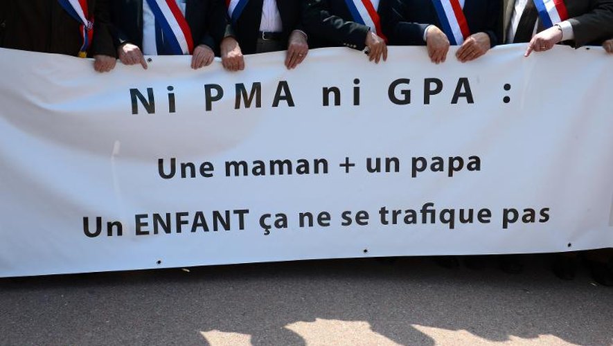 Manifestation d'élus français opposés à la PMA (procréation médicalement assistée) et à la GPA (gestation pour autrui), le 5 mai 2013 à Lyon