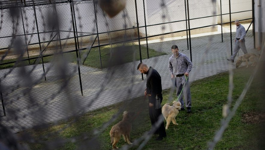 Des détenus et des chiens le 7 février 2016 dans la prison de Debrecen en Hongrie