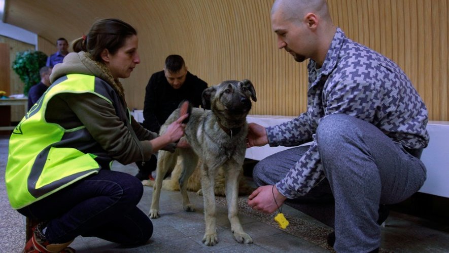Une éducatrice Annamaria Nagy, un détenu et un chien le 7 février 2016 dans la prison de Debrecen en Hongrie