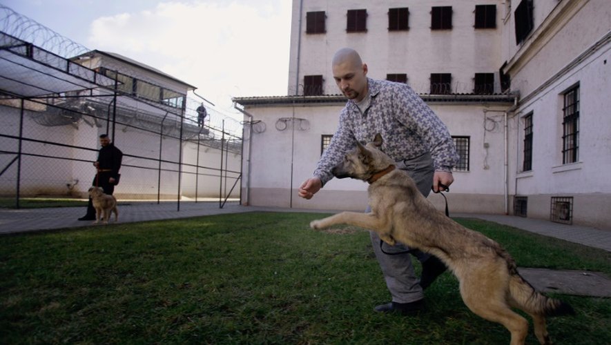 Un détenu et un chien le 7 février 2016 dans la prison de Debrecen en Hongrie