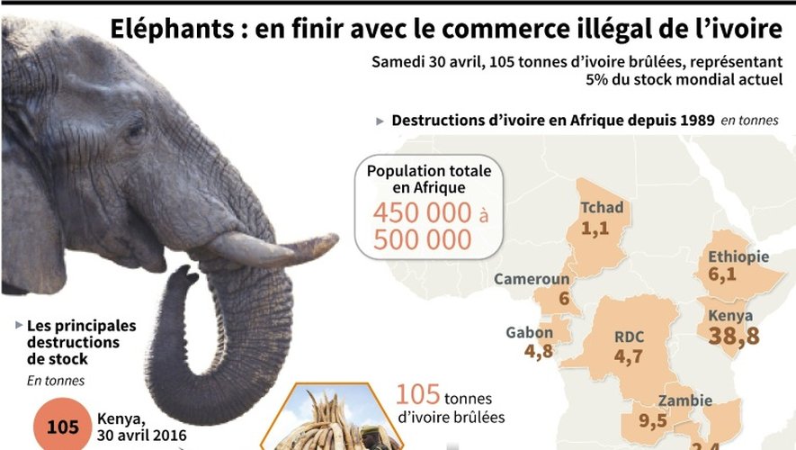 Carte et graphiques évoquant le commerce illégal et la destruction d'ivoire en Afrique