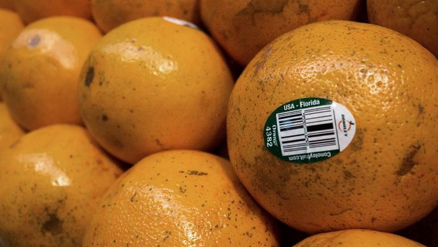La récolte d'oranges devrait chuter à son plus bas depuis 29 ans et le prix du jus est à son plus haut depuis deux ans à New York