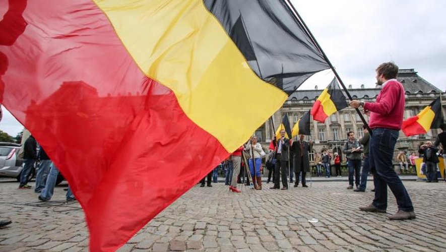Des Belges brandissent le drapeau national le 3 juillet 2013 Place des Palais à Bruxelles
