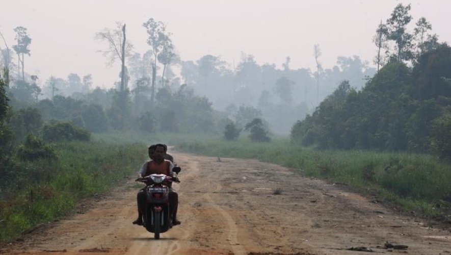Une route conduisant à une forêt partiellement brûlée et couverte de fumée, dans la province de Riau, en Indonésie, le 29 juin 2013