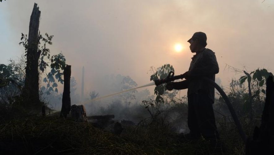 Un employé d'une concession d'huile de palme éteint le feu dans une forêt de la province de Riau, le 29 juin 2013 en Indonésie