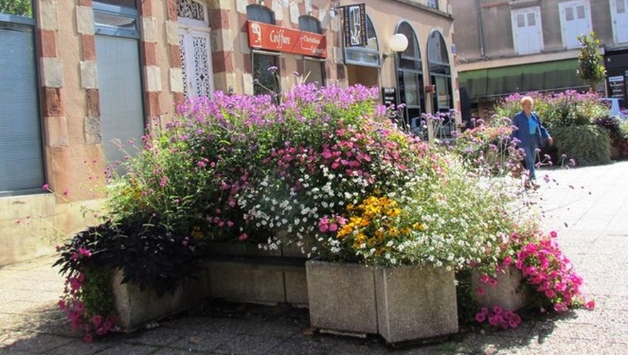 Déjà récompensée par le deuxième prix du Concours départemental du fleurissement et aménagement du cadre de vie organisé par le conseil départemental de l'Aveyron en 2014, la Ville ne ménage pas ses efforts pour la qualité de son environnement.