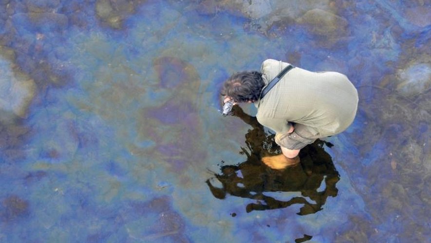 Un inspecteur étudie l'eau de lma rivière Chaudière, près de Lac-Mégantic, le 8 juillet 2013