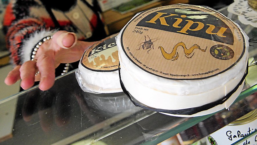 Composés de lait de brebis, les fromages sont en vente chez une dizaine de distributeurs.