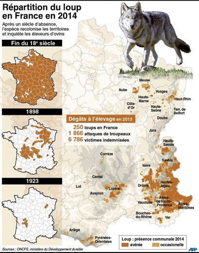 L'Aveyron redécouvre le loup