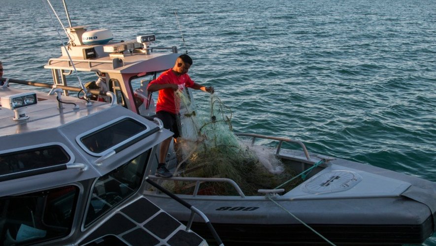Un membre de la marine mexicaine détruit un filet de pêche illégale, dans le baie de San Felipe, sur les eaux du Golfe de Californie, au Mexique le 17 mars 2016