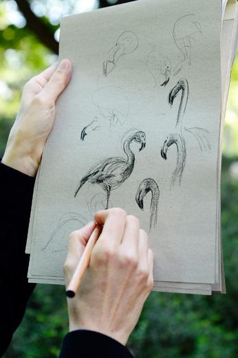 Marthe Mulkey, dessinatrice du Muséum national d'Histoire Naturelle, dessine des coloriages pour adultes à Paris, le 29 avril 2014