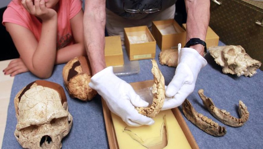 Un paléontologue montre, le 16 juillet 2013, une mâchoire découverte en 1971 à Tautavel