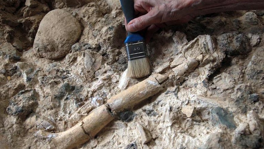 Une paléontologue travaille sur le site préhistorique de Tautavel, le 16 juillet 2013