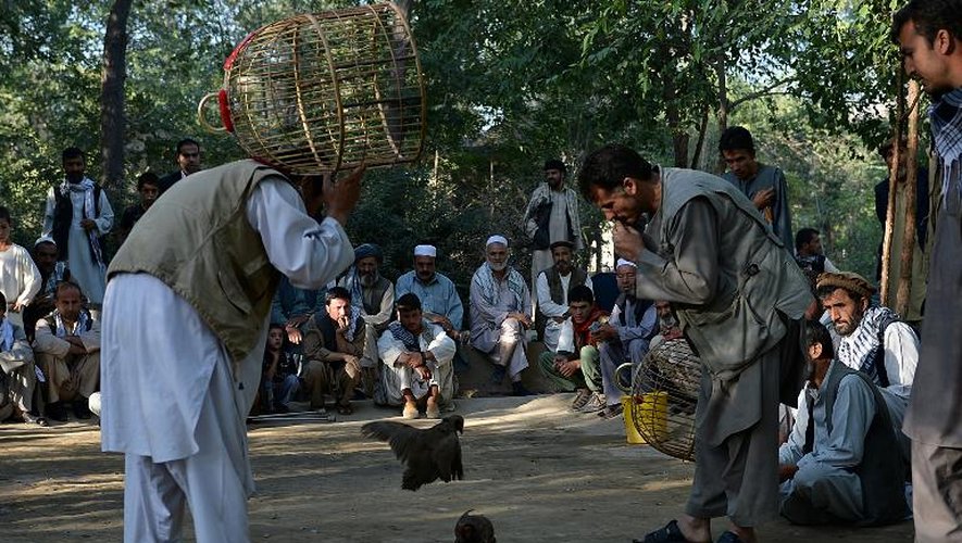 Un combat de perdrix à Kaboul, le 5 juillet 2013