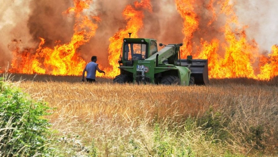 Druelle : spectaculaire incendie dans un champ de blé