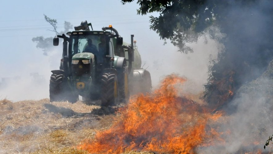Druelle : spectaculaire incendie dans un champ de blé