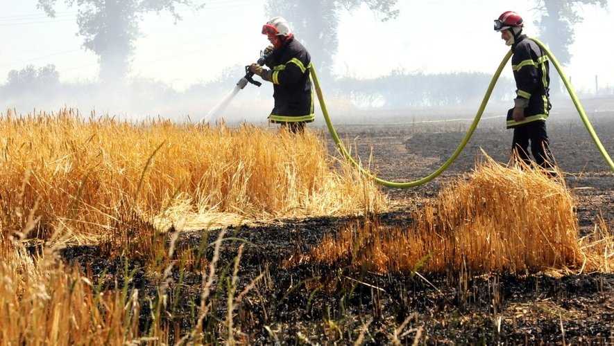 L'intervention conjointe des agriculteurs et des pompiers a permis de circonscrire rapidement l'incendie