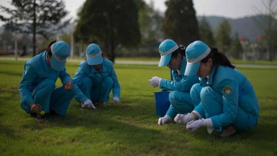 Des femmes nettoient à la pince à épiler, une pelouse du Palais Kumusan, le 25 juillet 2013 à Pyongyang