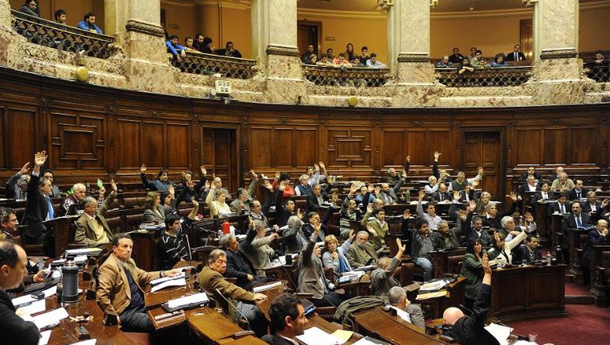Les députés uruguayens votent pour la légalisation de la marijuana le 31 juillet 2013 à Montevideo