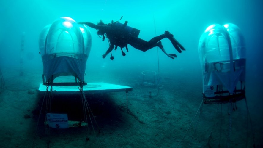 Gianni Fontanesi, coordinateur des "Jardins de Nemo", inspecte des cloches où poussent du basilic à 8 mètres de profondeur, au large de Noli, en Ligurie, le 27 juin 2015