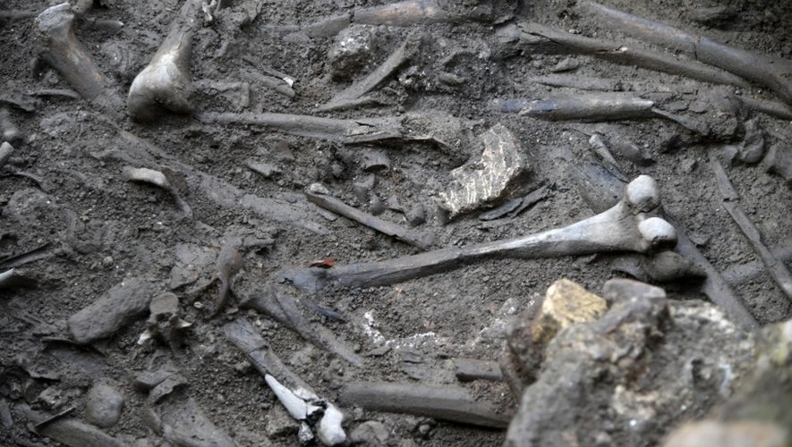 Des os retrouvés sur le chantier d'une station de métro à Rome, où a été découverte une caserne militaire datant de l'empereur Hadrien au IIe siècle, le 18 mai 2016