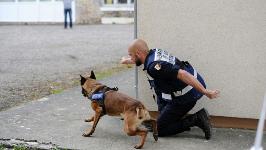 Un gendarme et son chien lors d'un exercice au Centre national d'instruction cynophile de la gendarmerie, à Gramat le 12 mai  2016