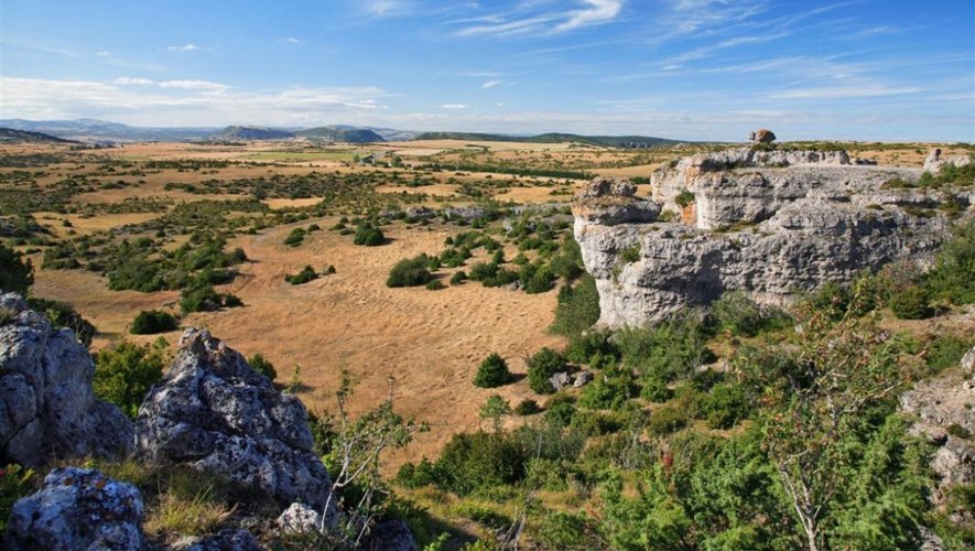 Avec une superficie de 327 000 hectares (dont la moitié dédiée à des exploitations agricoles), le parc naturel des Gra,ds Causses est le troisième plus grand PNR de France, derrière celui des Volcans d’Auvergne et celui de Corse.