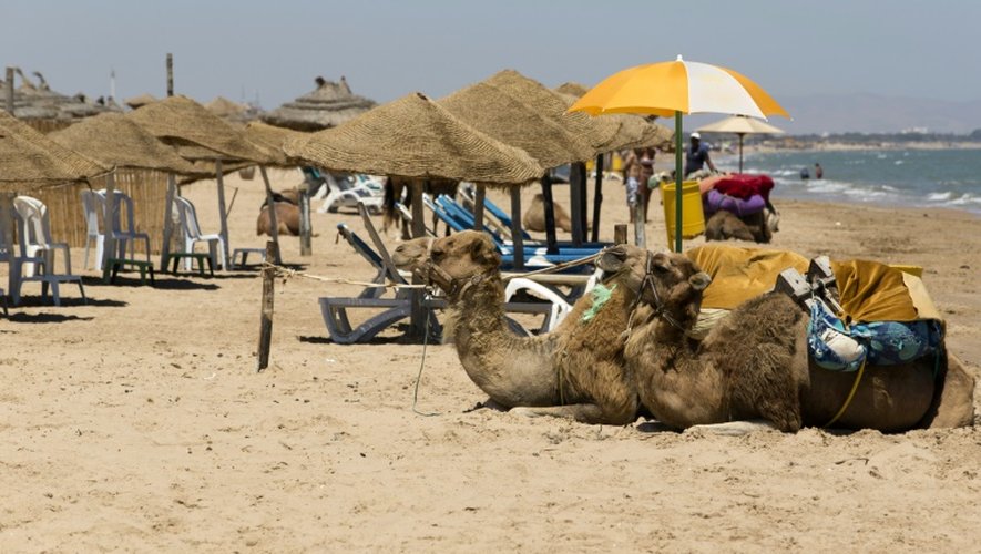 Les plages de Gammarth, dans le nord de la Tunisie, vidées de leurs touristes, le 2 juillet 2015